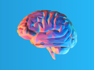 Study Raises New Concerns About Marijuana and Brain Function